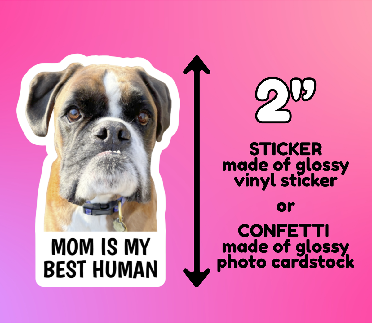 Pet Face Stickers