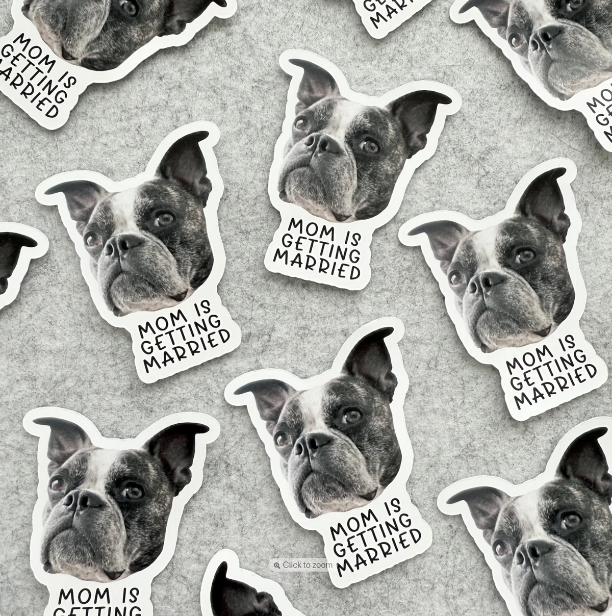 Pet Face Stickers