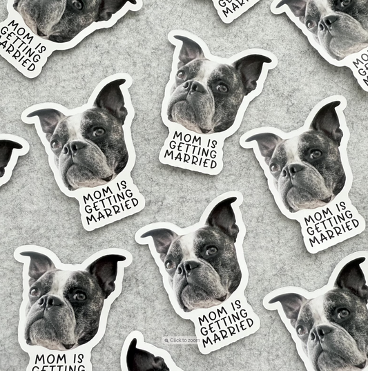 Pet Face Stickers