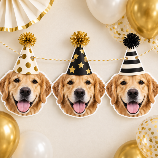 Birthday Banner